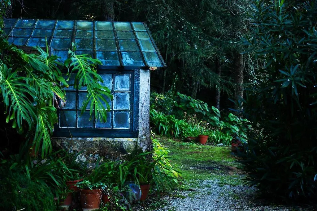 Almaa Sintra Hostel